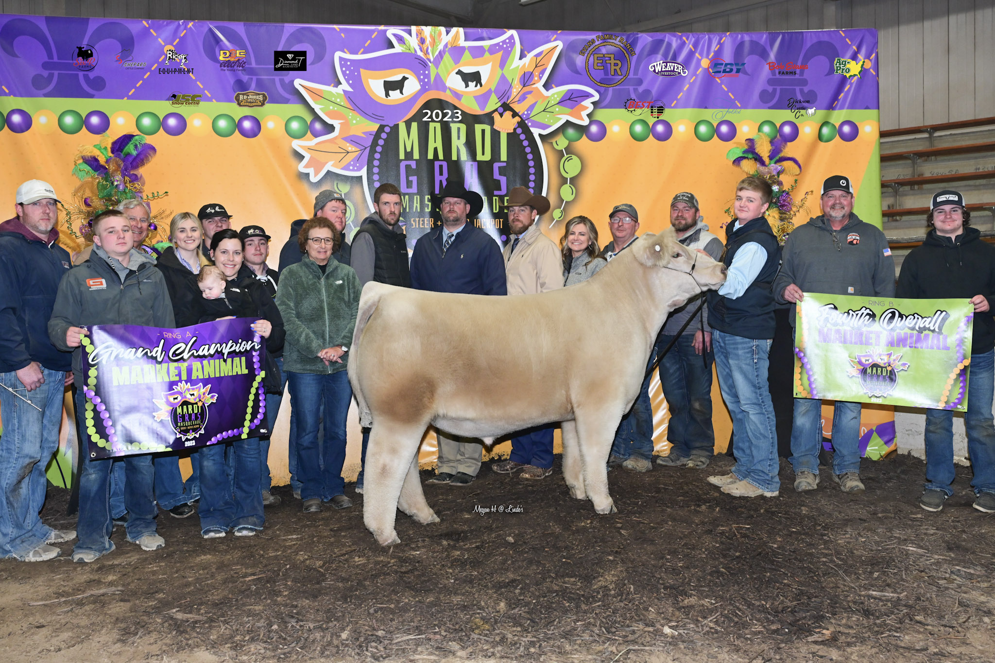 mardi gras masquerade cattle show