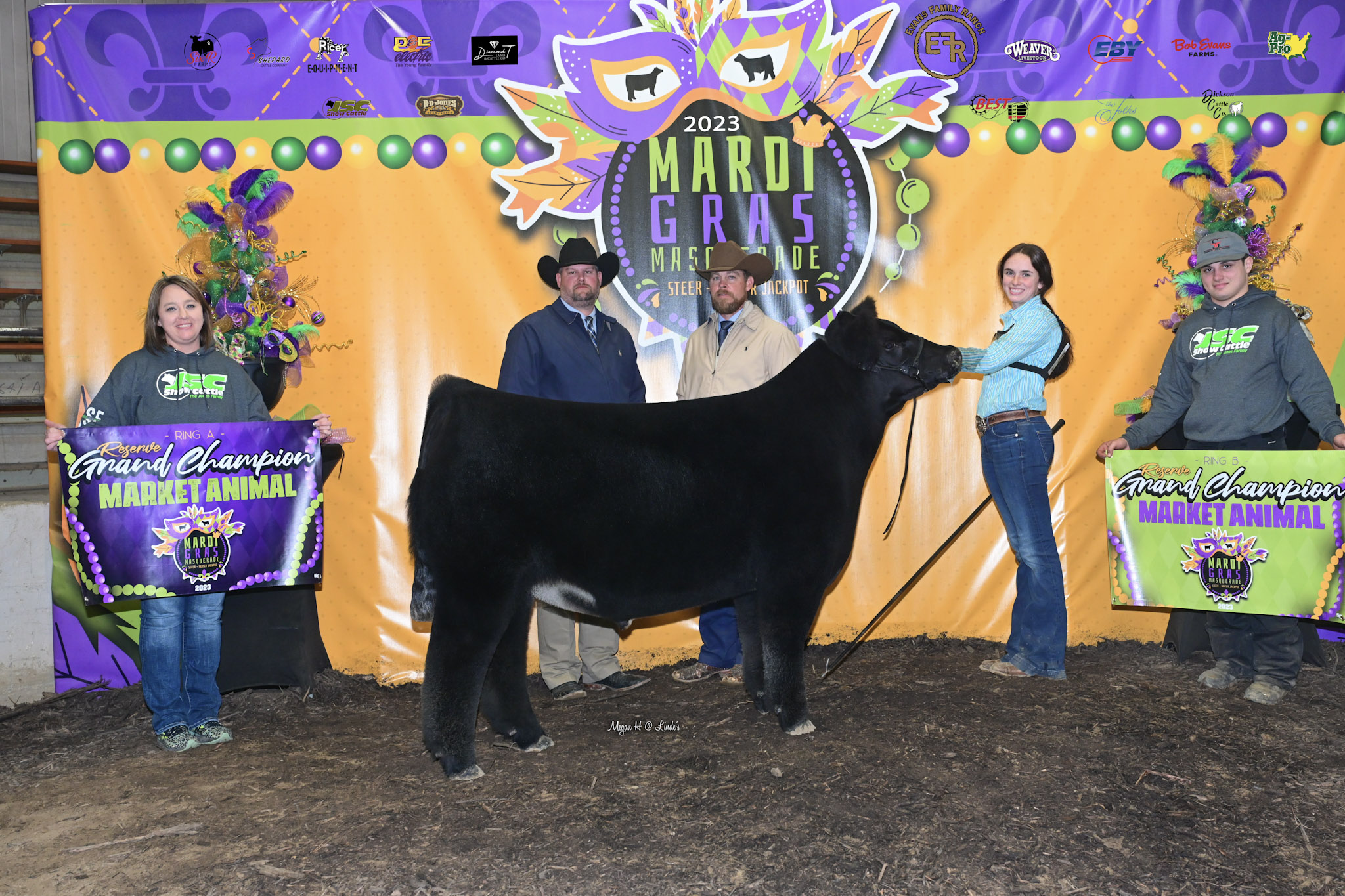 mardi gras masquerade cattle show