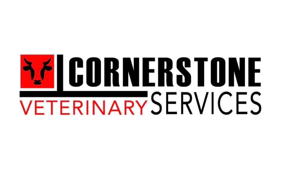 Cornerstone veterinary sale clinic